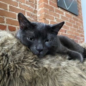 Meet your Posher, Eric